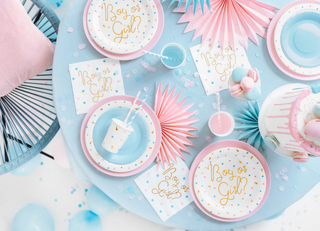 Talerzyki Boy or Girl, 23cm (1 op. / 6 szt.)