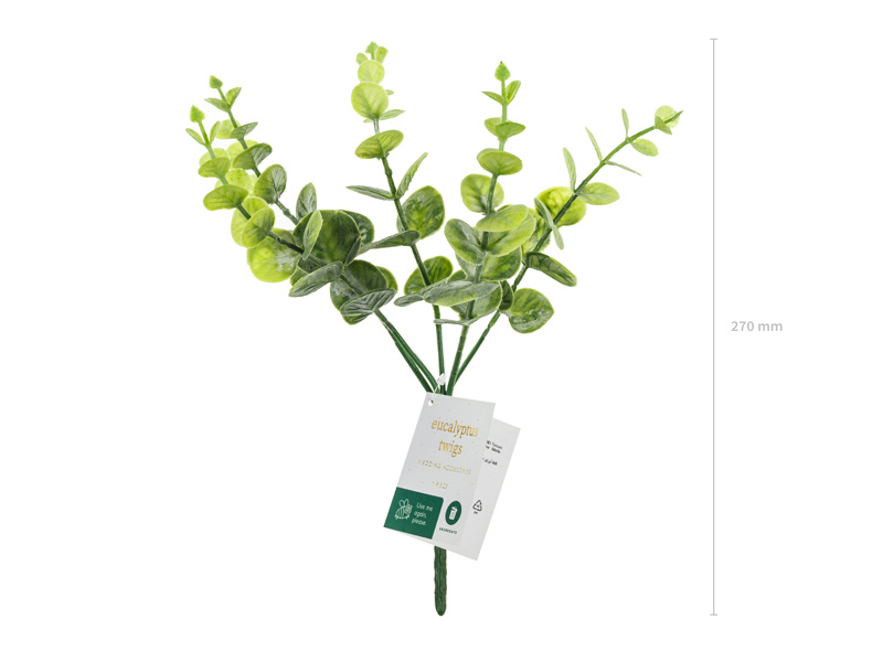 Gałązka Eukaliptus 27 cm – szczegóły gałązek
