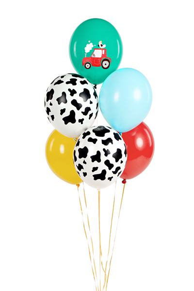 Balony Farma 30 cm – balony na imprezie