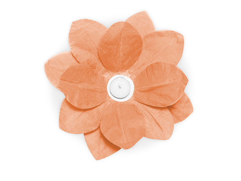 Lampiony pływające – różne kolory lampionów na wodzie