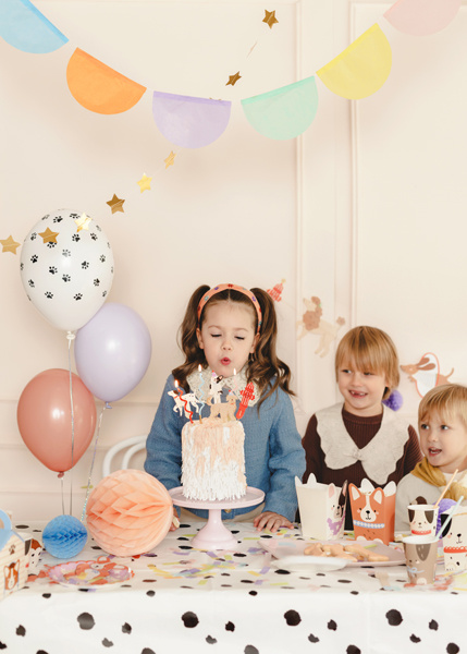 Obrus w kropki Dalmatyńczyka – detale