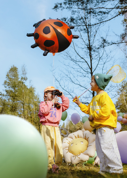Balon foliowy Biedronka – szczegóły produktu