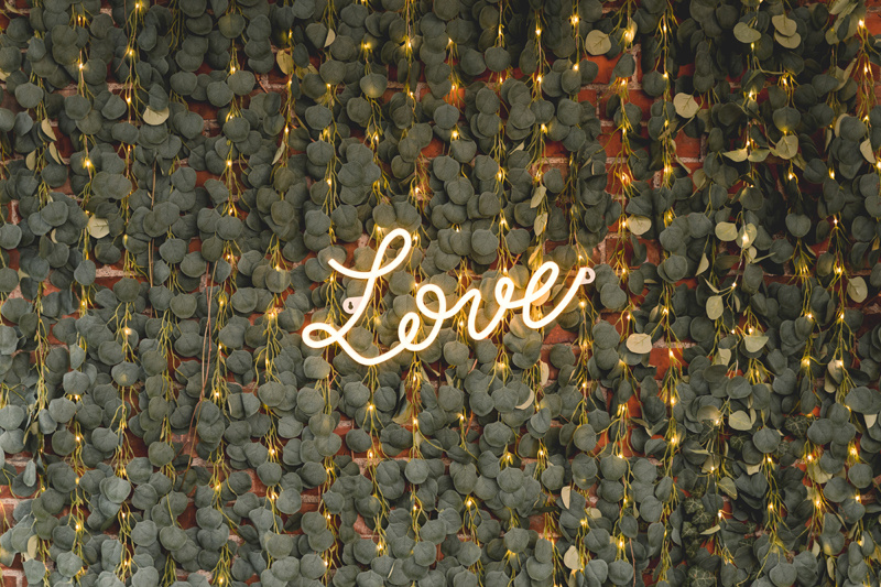 Girlanda LED Eukaliptus - detale liści