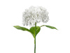 Sztuczny Kwiat - Hortensja Premium, 69 cm, biały