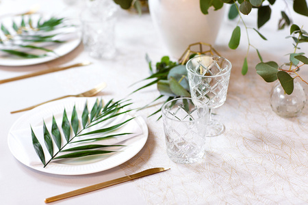 Organza z nadrukiem, biały, 0,48 x 9m