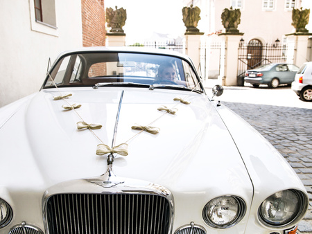 Zestaw dekoracji samochodowych - Kokardki