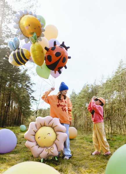 Balon foliowy Biedronka – widok szczegółowy