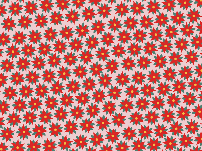 Papier do pakowania Gwiazda Betlejemska 70x200cm - jasnoróżowy z kolorowym nadrukiem