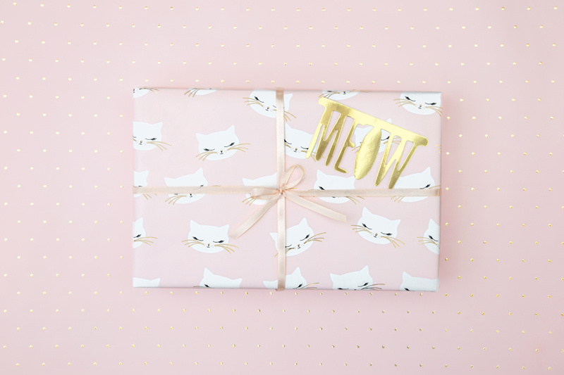 Papier do pakowania Kotek – detale wzoru